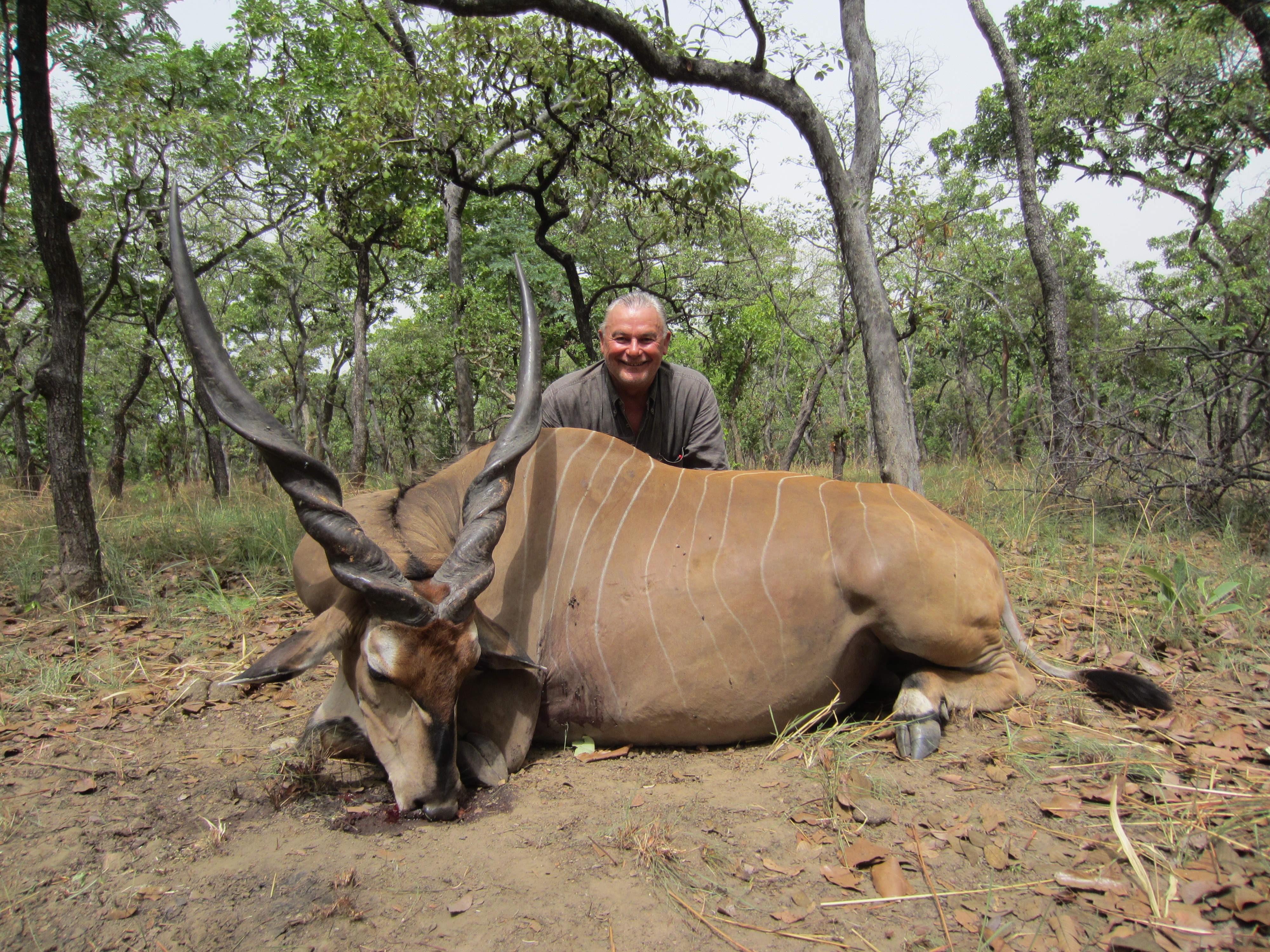 CAMEROUN SAFARI